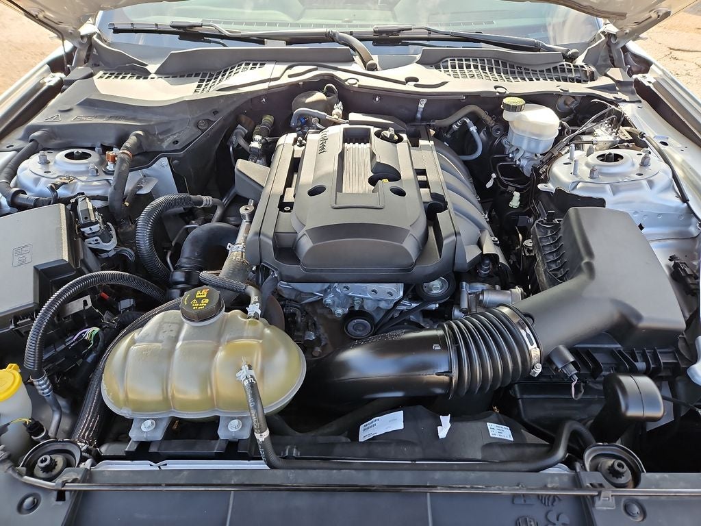 2019 Ford Mustang EcoBoost