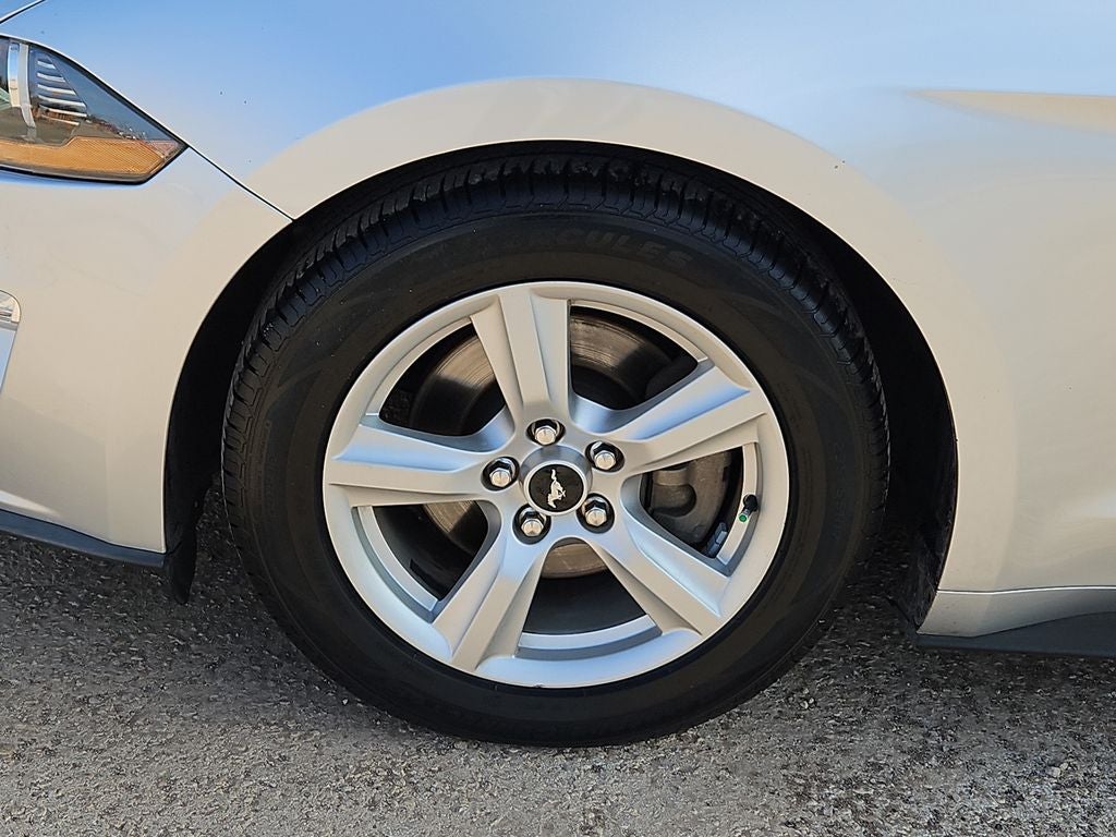 2019 Ford Mustang EcoBoost