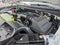 2026 Ford Expedition Tremor®