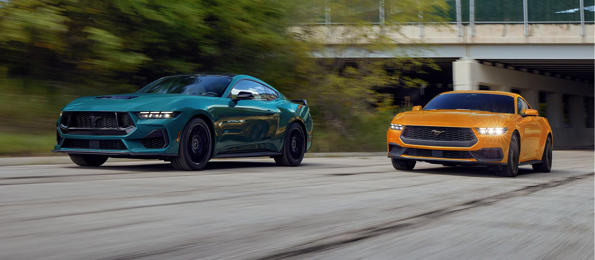 Two mustangs driving on the road.